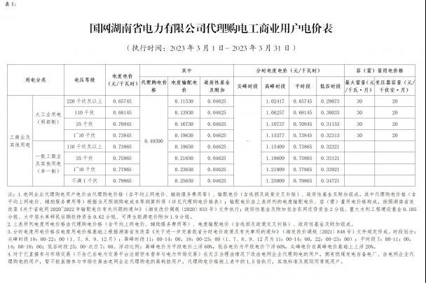 国网湖南省电力有限公司代理购电工商业用户分时电价表-2023年3月