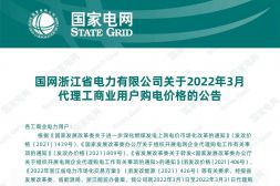 国网浙江省电力有限公司代理购电工商业用户分时电价表-2023年3月